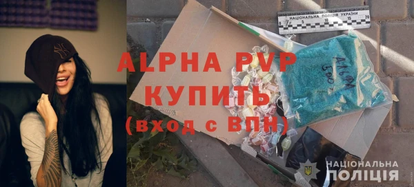 индика Аркадак
